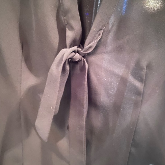 Chiffon Shirt - Picture 3 of 3